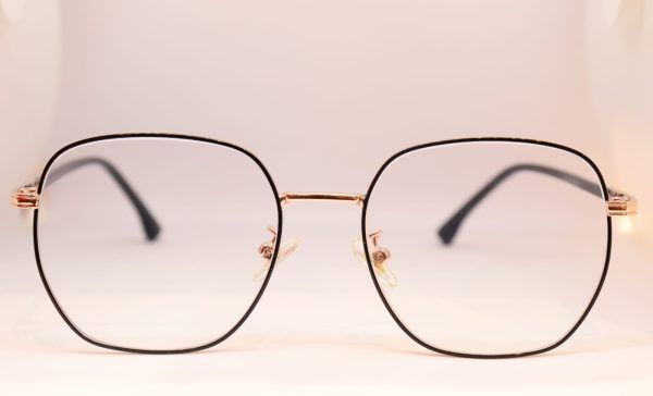 METAL FRAMES EYEGLASS - Image 2